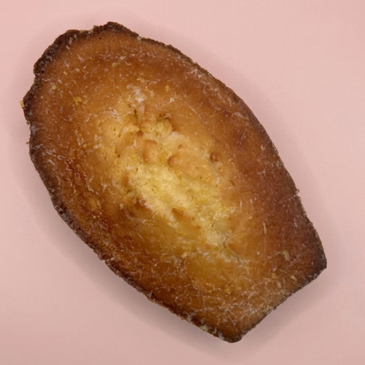 Madeleine XL