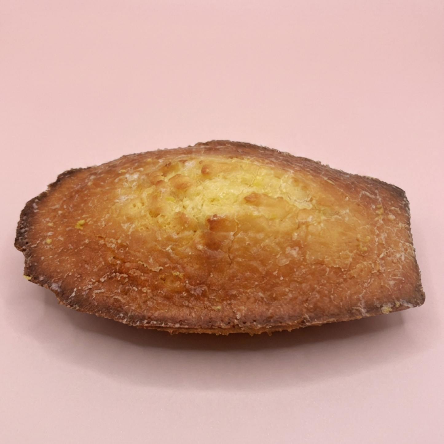 Madeleine XL